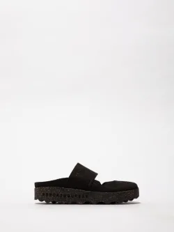 Cana P018176