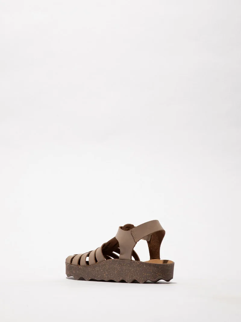 Calix P018277 slika 2