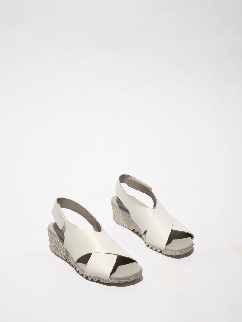 Orfy slika 1