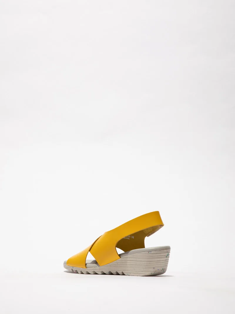 Orfy slika 2