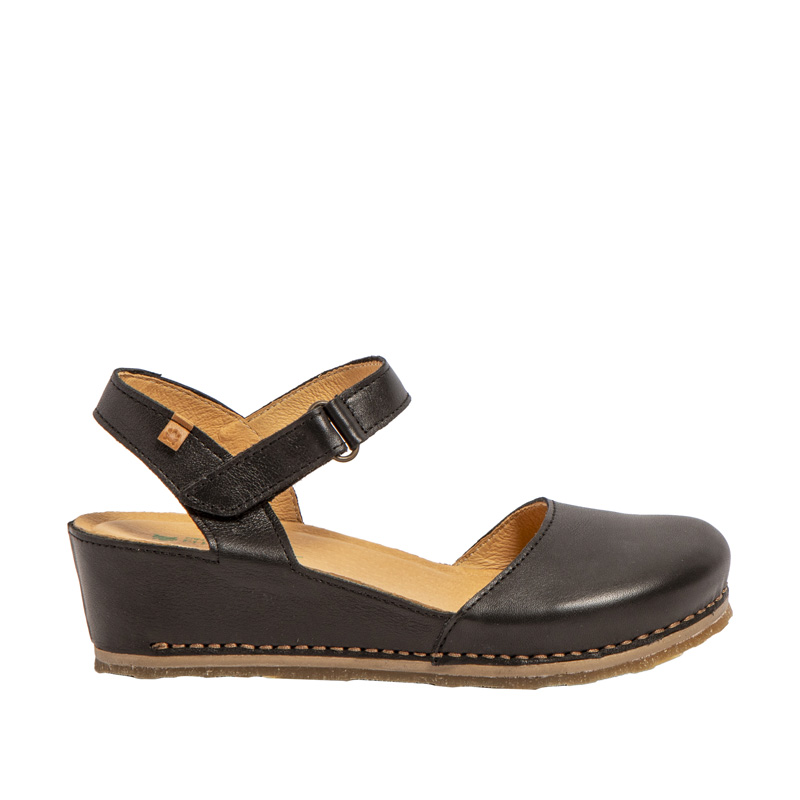 Picual N5850