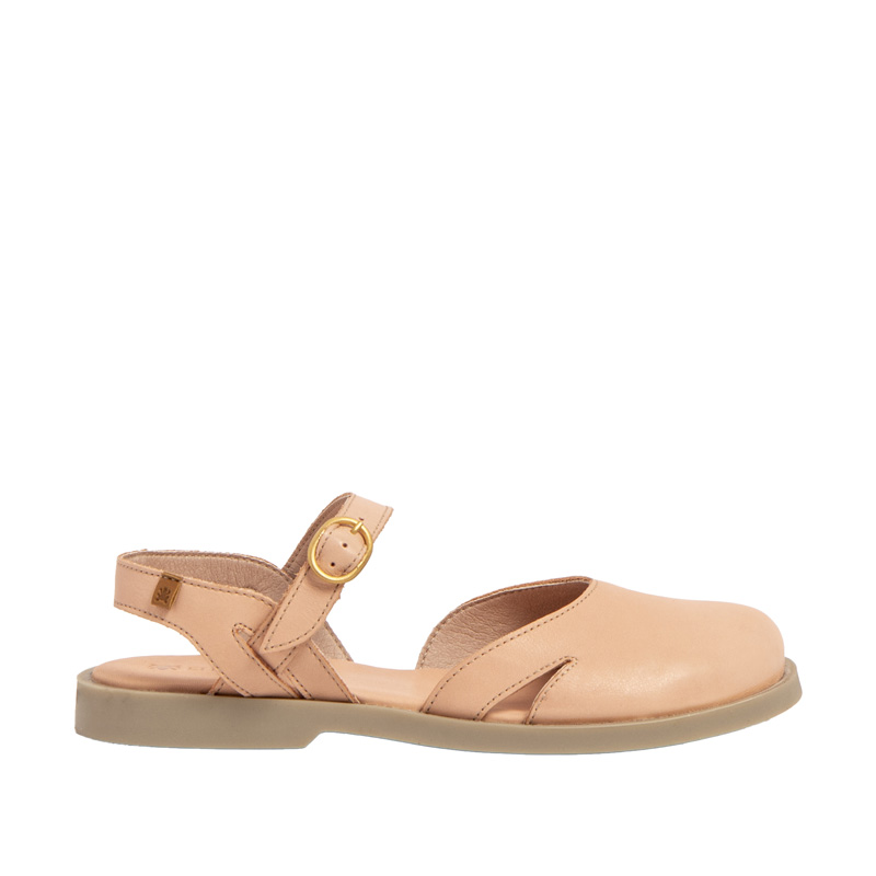 Arenisca N5874