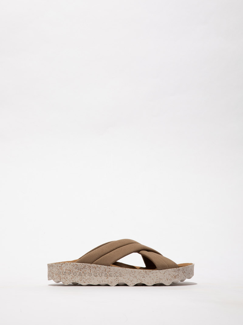 Curr P018280